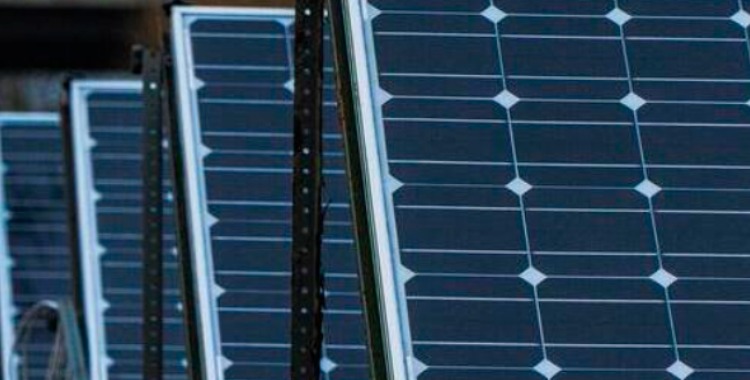 El Govern català vol impulsar plaques solar i molins de vent en terrenys agrícoles